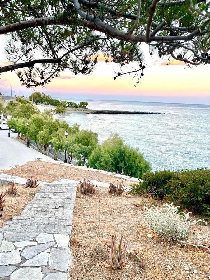 Bay Divino *