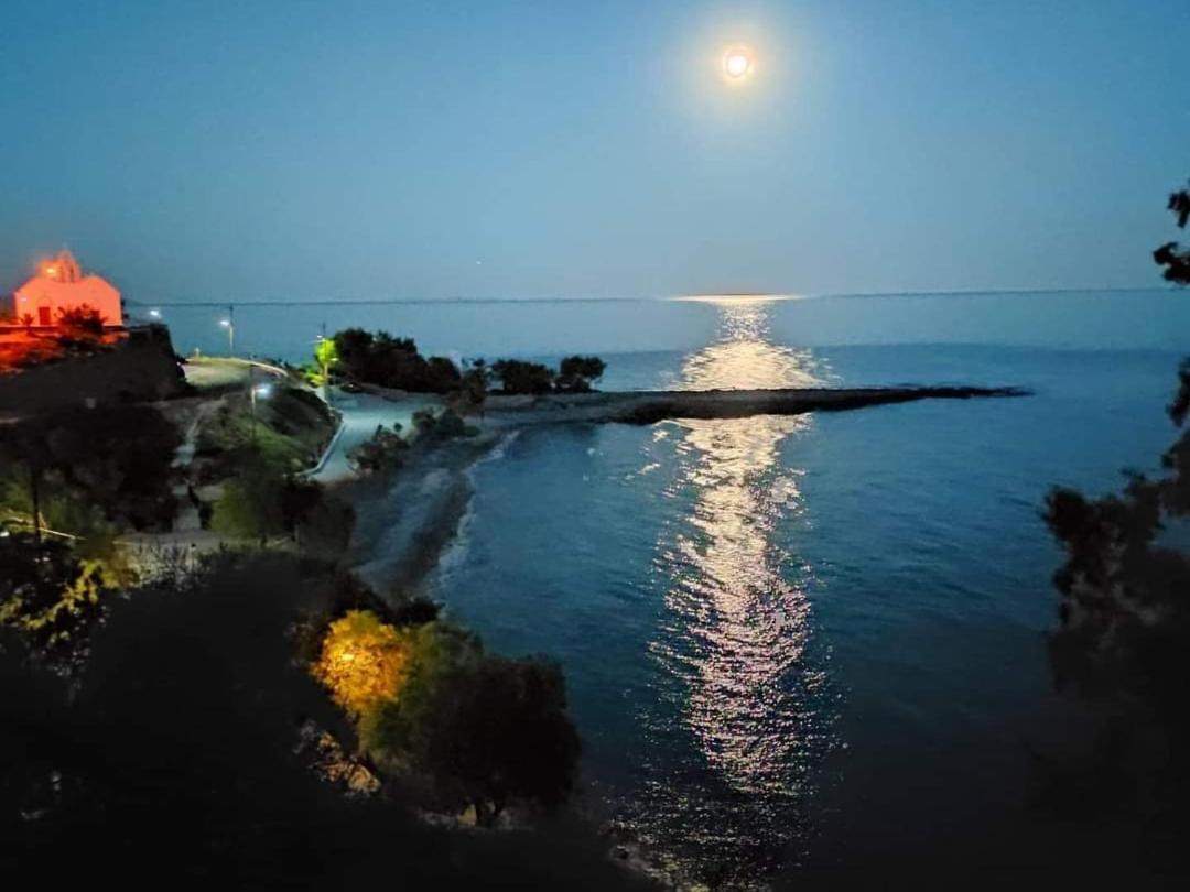 Bay Divino